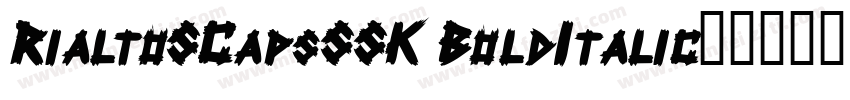 RialtoSCapsSSK BoldItalic字体转换